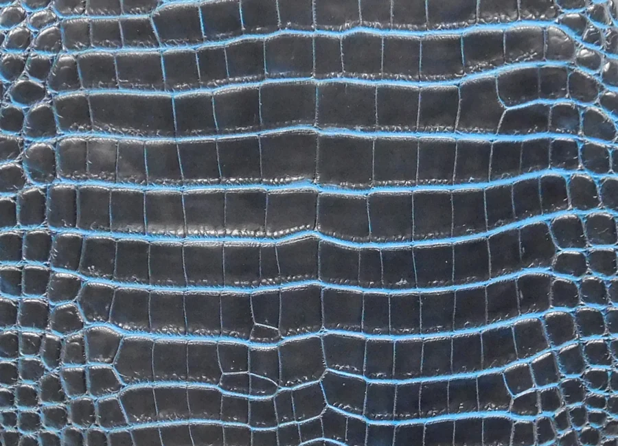 Blue accented exotic leather close-up