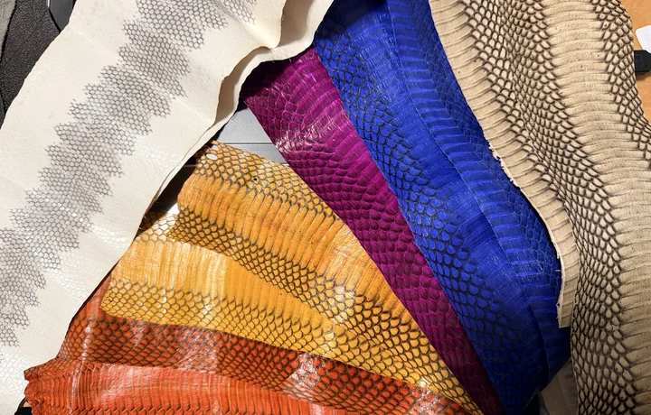 Colorful exotic leather hides arranged in a fan